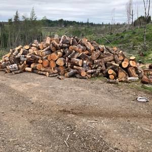 Meet your Posher, Britney